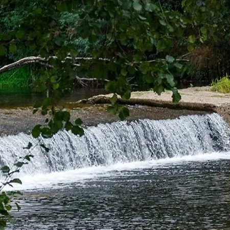 Treenity Hut Dağ evi *
