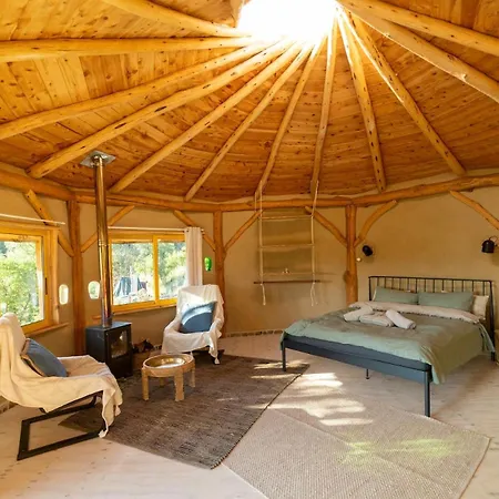 Treenity Hut