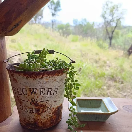 Шале Treenity Hut *