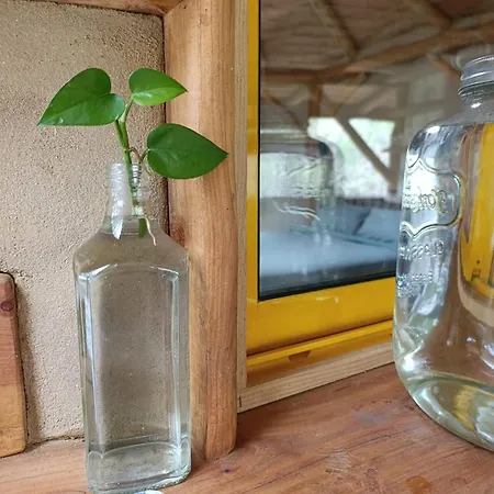 Шале Treenity Hut
